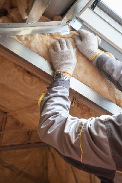 Best Insulation Installation Services in Sebastopol, CA