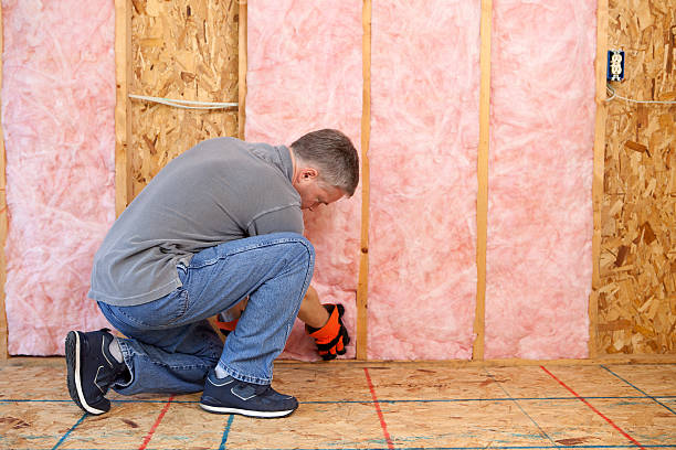 Best Insulation for Specific Applications in Sebastopol, CA